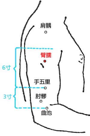 臂儒穴|臂臑穴可改善治頸淋巴結核,肩臂疼痛,肩周炎